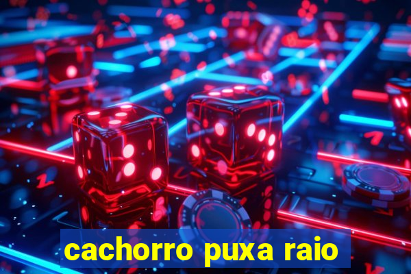 cachorro puxa raio